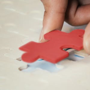 조직적 다양성, 형평성, 포용성의 핵심 개념