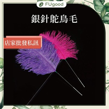 【每月賣場限定活動】【銀針】鴕鳥毛 (單支) ｜各式采耳工具、雞毛棒、鵝毛棒、手握採耳燈、音叉、耳燭、精油、孔雀毛棒鶴毛