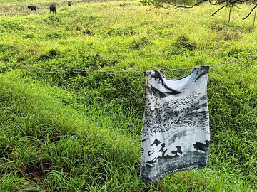 Liuyingchieh Lapporten Abisko Lapland 山水 北極 吸濕排汗背心