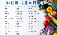 野菜 お楽しみ 定期便 3回 有機野菜 5～6品目 詰め合わせ セット 有機栽培 玉ねぎ とまと じゃがいも