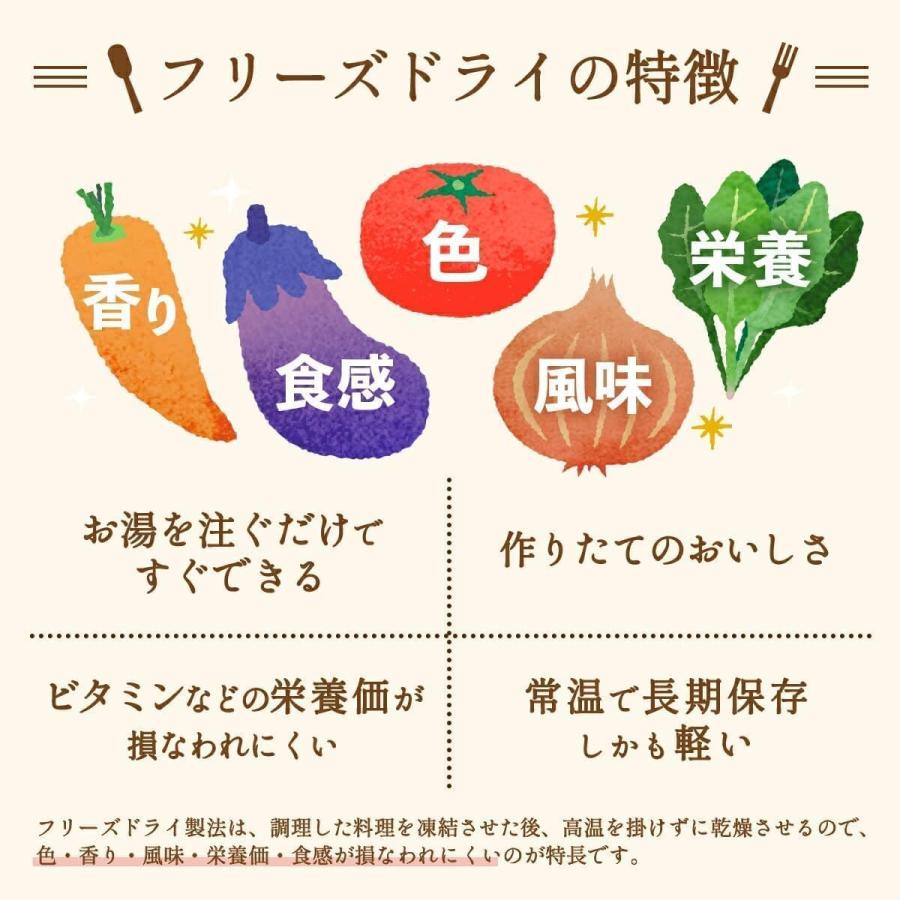 アマノフーズ フリーズドライ カレー・シチュー・リゾット 全6種各2食計12食セット