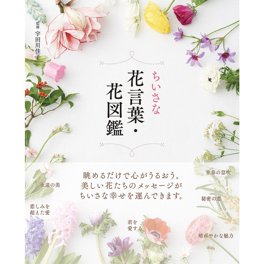 ちいさな花言葉・花図鑑