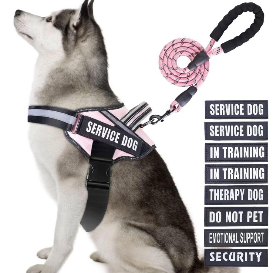 Extra large service dog vest store