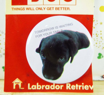 【震撼精品百貨】新大頭狗 The Dog 徽章-拉不拉多(趴) 震撼日式精品百貨