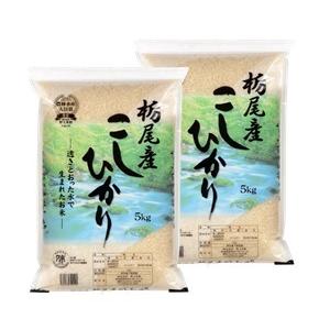 送料無料 令和５年産 新潟県栃尾産コシヒカリ 10kg(5kg×2袋) おこめ 精米 新潟