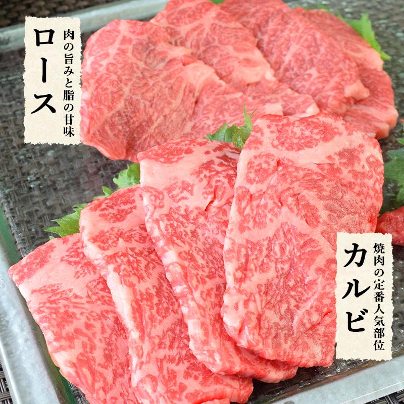 絶品ふくなが牛 交雑種(F1)・焼肉人気の2種盛り 二段600g(ロース・カルビ各300g) ギフト 焼肉セット