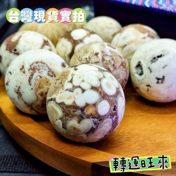 【台灣現貨】白龍宮 泰國 龍宮 珊瑚 舍利 白靈骨 47-50mm 轉運 開運 招財 擺件 好運 天然 礦石 靈招 精品