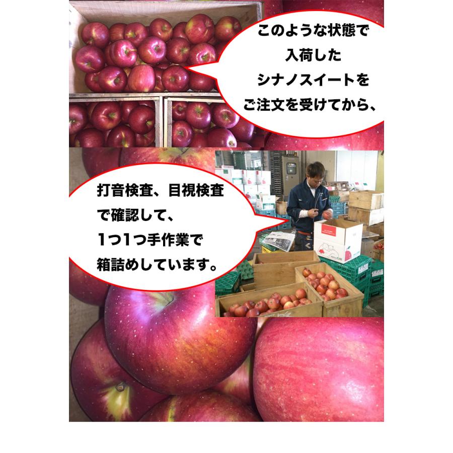 りんご 10kg ご家庭用 青森県産 シナノスイート 10kg 送料無料 りんご 10Kg ご家庭用 お試し シナノスイート 青森 生食用 SDGS