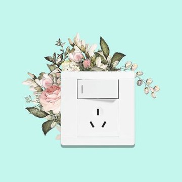 【MR.ZAKKA】創意萬用裝飾貼紙-植物主題 浪漫粉嫩玫瑰 居家節慶布置 DIY可移式壁貼 無痕壁貼 牆貼