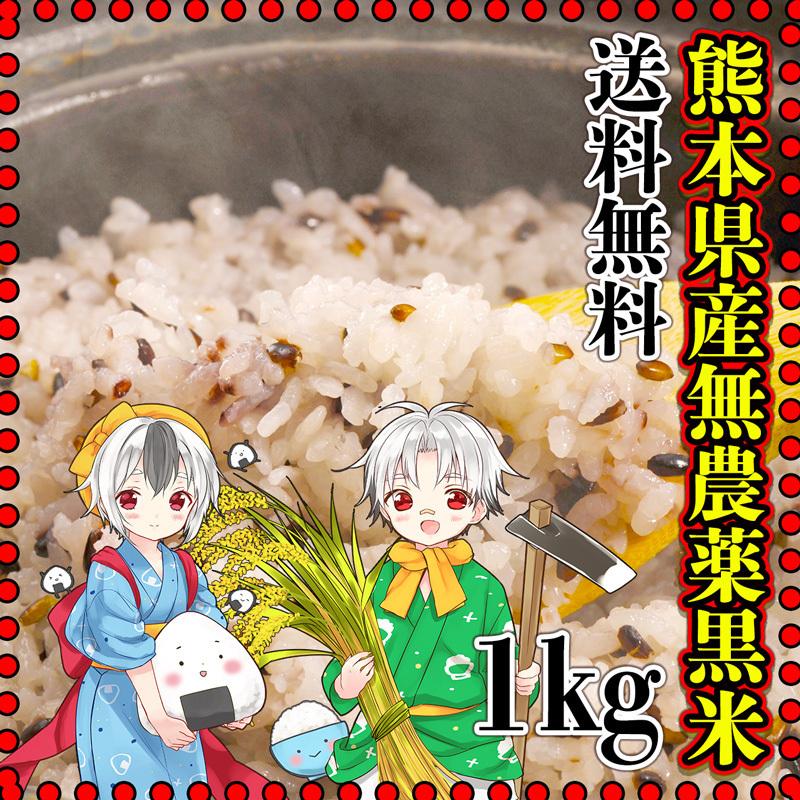 お米 米 1kg 玄米 送料無料 熊本県産 黒米 無農薬 あすつく 新米 令和5年産 古代米 くまもとのお米 富田商店 とみた商店