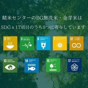 ふるさと納税 BG無洗米・金芽米　きぬむすめ　2kg　［令和5年産 新米］計量カップ付き 島根県安来市