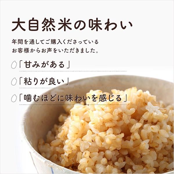 熊本県完全無農薬・肥料不使用　玄米5kg　送料無料