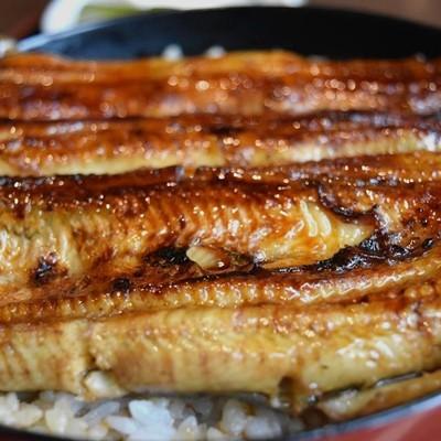 ふるさと納税 沼津市 沼津うなよし　手焼き国産うなぎ蒲焼2尾