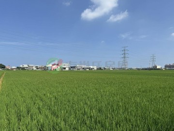 龍井田水段方正美農地投資自用首選標的｜台中市龍井區田水段