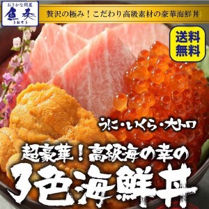 最高級 三色 海鮮丼 セット 本まぐろ 大トロ 生うに いくら 4～5人前 送料無料 刺身 手巻寿司 グルメギフト 在宅