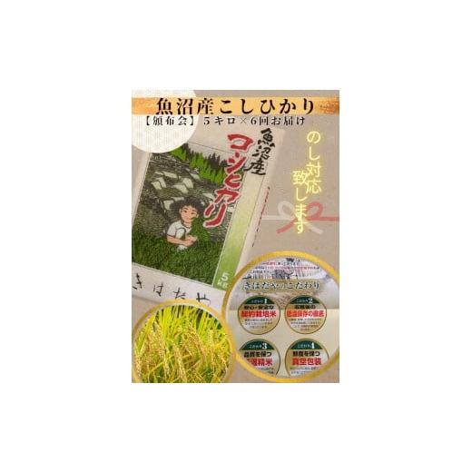 ふるさと納税 新潟県 十日町市 魚沼産コシヒカリ特上米５kg×６回定期便令和5年度産