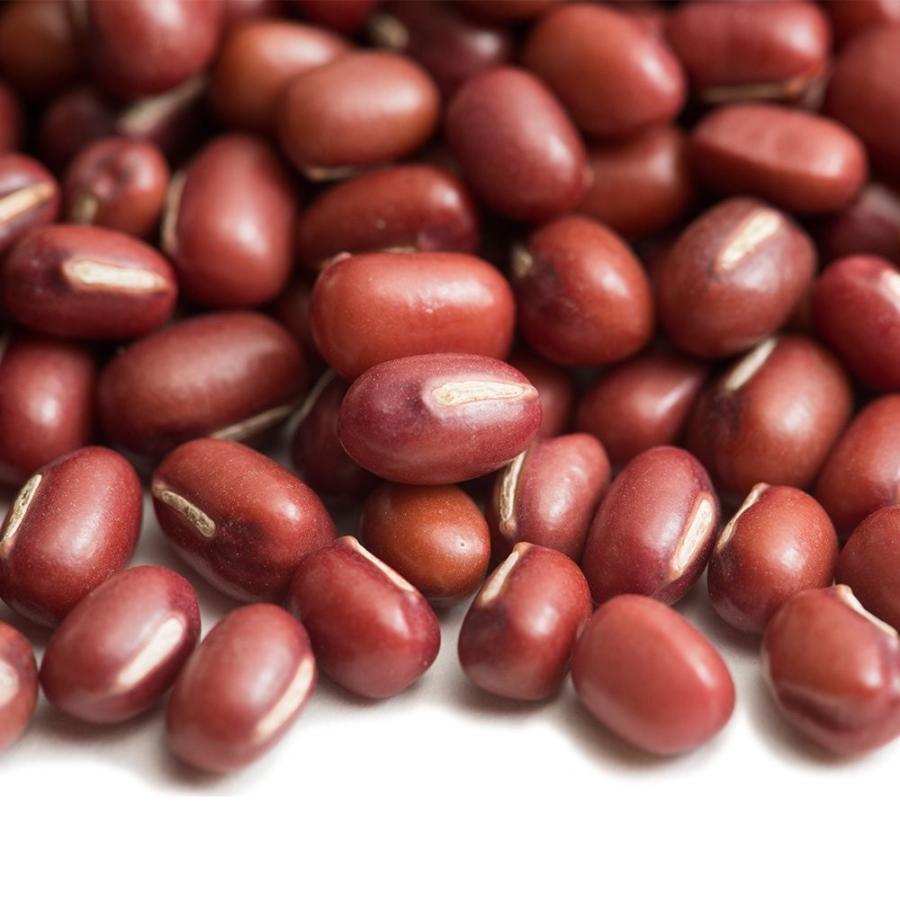 小豆 20kg 常温便 Azuki Bean