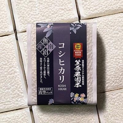 ふるさと納税 南魚沼市 令和5年産　南魚沼産 笠原農園米 コシヒカリ真空パック450g×20個(簡易包装)