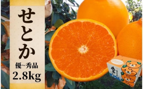 秀~優品 約 2.8kg ＜2024年2月~3月頃発送＞ 食べくらべ 愛媛 みかん 先行予約 蜜柑 柑橘 果物 くだもの フルーツ お取り寄せ グルメ 期間限定 数量限定 人気 おすすめ 愛媛県 松山市 ふるさとチョイス ふるさと納税 ランキング キャンペーン やり方 限度額 仕組み シミュレーション