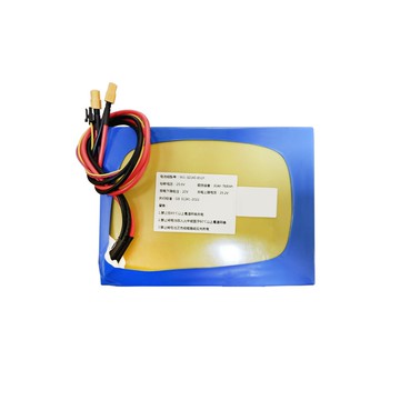 {可打統編 超低價}BUNKER MINI電池