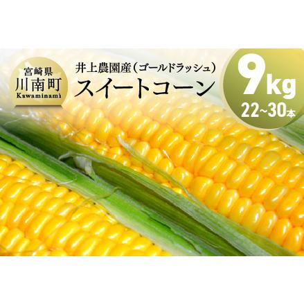 ふるさと納税  宮崎県産 とうもろこし 井上農園産 スイートコーン ゴールドラッシュ 9.0kg 【 とうもろこし スィートコーン .. 宮崎県川南町