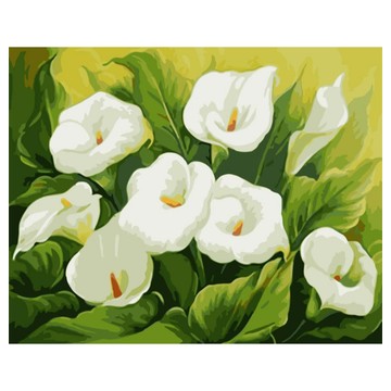 Momofix Painting DIY數字油畫套組 WK21 75 x 60cm  清秀的馬蹄蓮 綠色 + 白色  1個