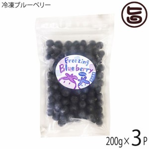 冷凍ブルーベリー200g×3P 堀うち農園 無農薬栽培 安心 安全