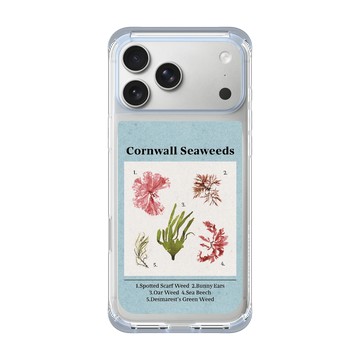 iPhone 17 Pro Max ClearX 冰透藍 - The Seaweed Studio - 康沃爾・海藻海報