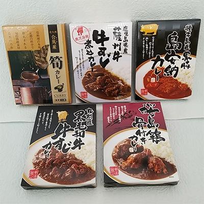 ふるさと納税 飯塚市 九州のカレーセット(レトルトカレー5食入り)