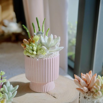 【日系禮物】多肉花園(豎紋款-粉色).手作黏土多肉植物.附提袋