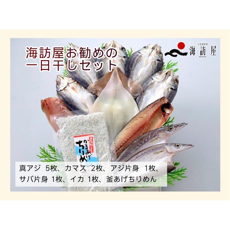 お歳暮 ギフト 魚 海産物 干物 詰合せ 高知県高知市場 土佐海産物 海訪屋 厳選１日干セット 送料無料 冷凍便でお届け