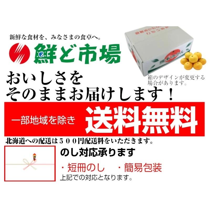 熊本産　みかん5kg小玉ちゃん 送料無料 果物ギフト ギフト・ご贈答用 ご家庭用 ミカン