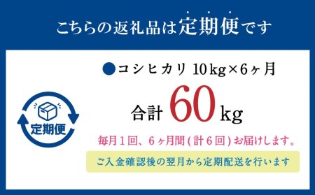 大分県産 コシヒカリ 10kg×6回 計60kg 精米 お米 こしひかり