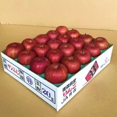 JA青森　青森県産りんご「サンふじ」約5kg_A1-1
