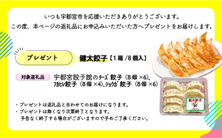 「宇都宮餃子館」のしょうが餃子 8個入り×6パック(計48個)