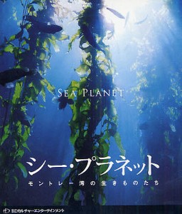 BD シー・プラネット モントレー湾の生