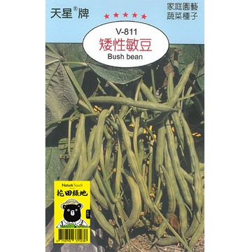 花田綠地種子-矮性敏豆