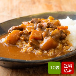 宮崎県産牛100％ ビーフカレー 200g×10食 国産 レトルト カレー 常温保存