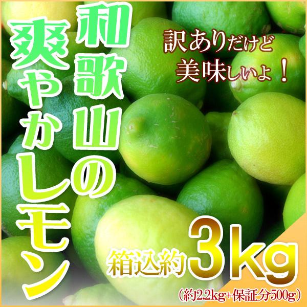 レモン 3kg（箱込約3kg） 国産 訳あり・ご家庭用 檸檬 送料無料（東北・北海道・沖縄県除く）