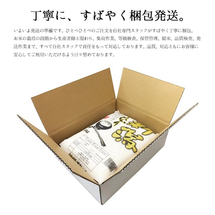 新米 令和5年産 米 10kg (5kg×2袋) 新潟こしひかり 新潟県産 お米 10キロ 白米 コシヒカリ ギフト プレゼント お歳暮