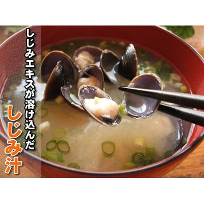 しじみ 500g しじみ 味噌汁 ギフト 北海道 網走湖産 砂抜き済 しじみ汁 お取り寄せ グルメ オホーツク 網走 プレゼント 誕生日祝 御祝 御礼 内祝