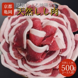 丹波亀岡 天然しし肉 セット 500g