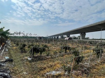 專員-潮州鎮蓬萊段國道三號地勢高大路邊6分2農地｜屏東縣潮州鎮蓬萊段