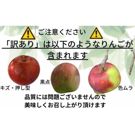 ふるさと納税 4月発送CA貯蔵  家庭用 百年木の香 サンふじ 約5kg 有機肥料100％ 青森県弘前市