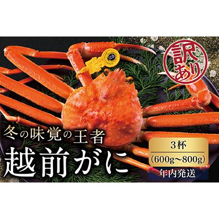 ふるさと納税 越前がに（オス）「ずわいがに」中サイズ（600g-800g）訳あり 3杯 福井県越前市