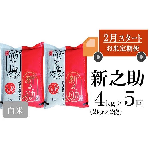 ふるさと納税 新潟県 柏崎市 ヤタらうんめぇ 新之助 白米 4kg（2kg×2袋）×5回（計 20kg）[G431]