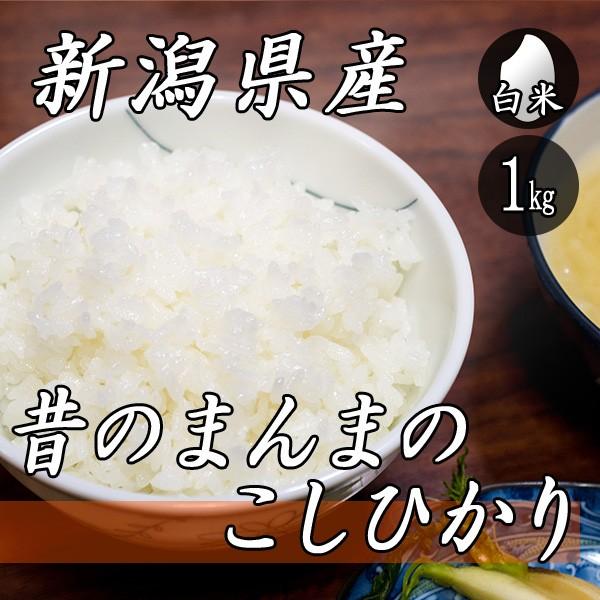 お米 1kg 新潟産 コシヒカリ 昔のまんまのコシヒカリ 1kg×1袋 令和5年産 米 白米