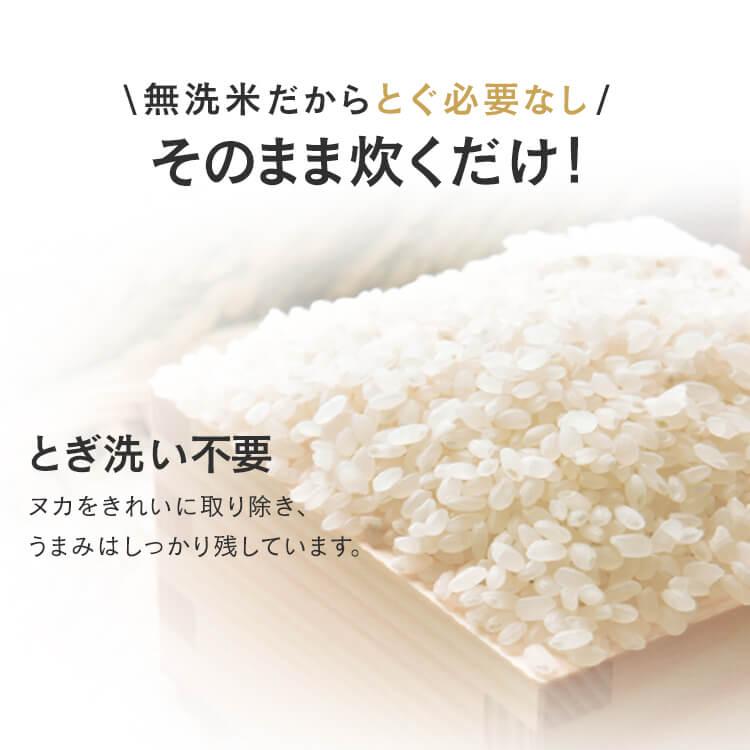 米 6kg 無洗米 送料無料 生鮮米 一人暮らし お米 つや姫 山形県産 (1.5kg×4袋)  アイリスオーヤマ