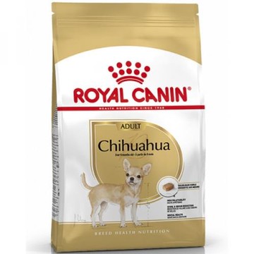 BHN 皇家吉娃娃成犬CHA 3KG(下單後10個工作天寄出)