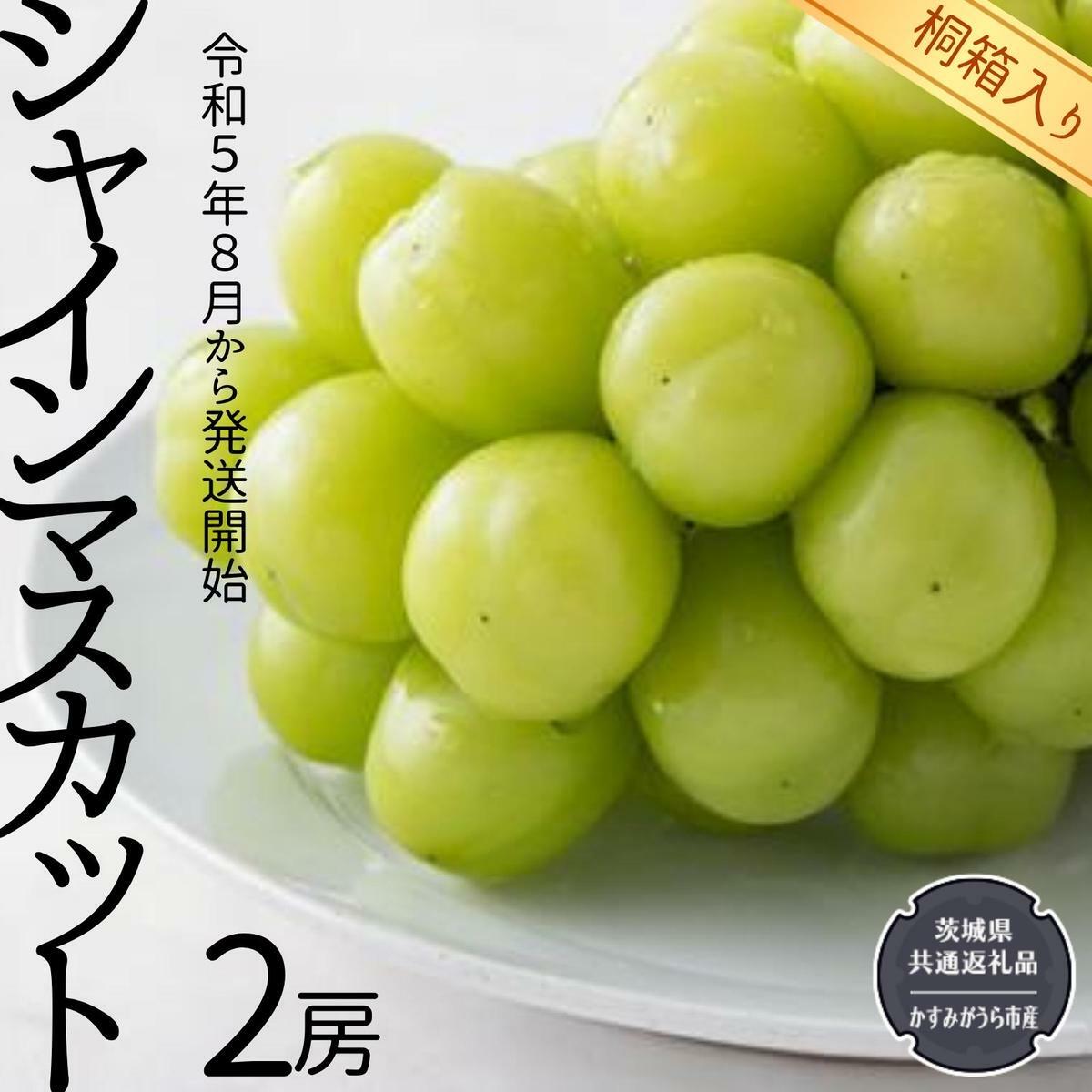  シャインマスカット 2房 （県内共通返礼品：かすみがうら市産） 果物 フルーツ ぶどう マスカット ギフト 贈答 プレゼント 桐箱 [BI337-NT]